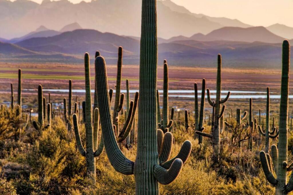 Tucson The Greens! 3Br Apt W/ Pool & Spa Eksteriør bilde