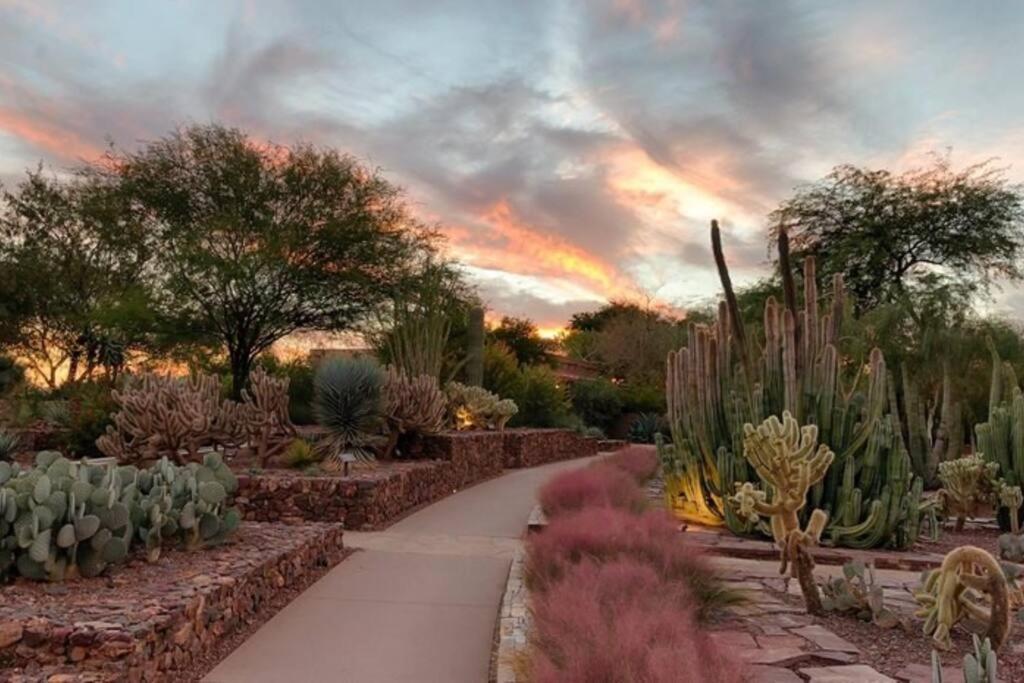 Tucson The Greens! 3Br Apt W/ Pool & Spa Eksteriør bilde